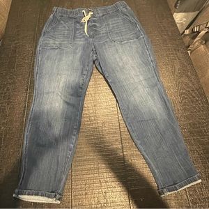 Judy Blue Los Angeles Jogger Jeans
